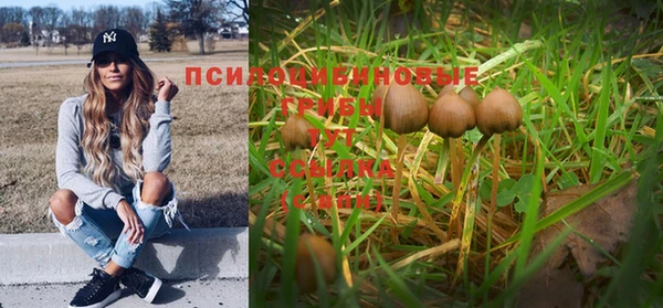 ALPHA PVP Пересвет