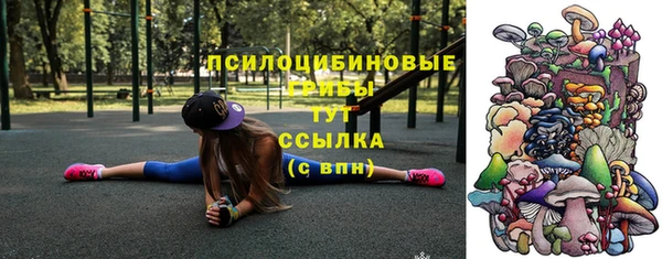 мдма Осташков