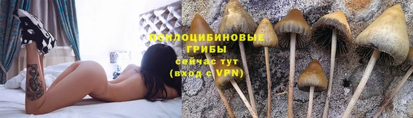 гашик Остров
