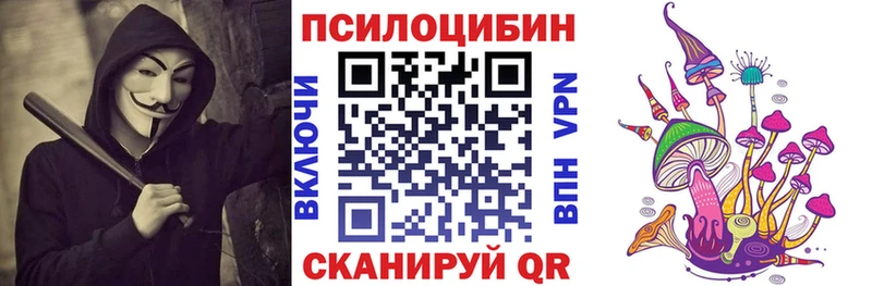 Галлюциногенные грибы Cubensis  где найти   Нестеровская 